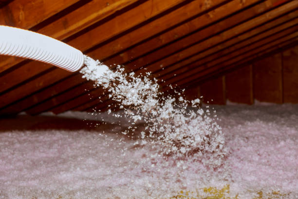 Best Residential Insulation in Pismo Beach, CA