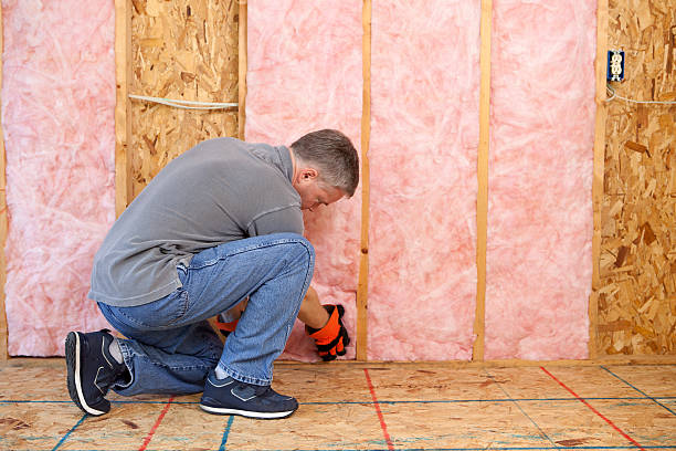 Types of Insulation We Offer in Pismo Beach, CA